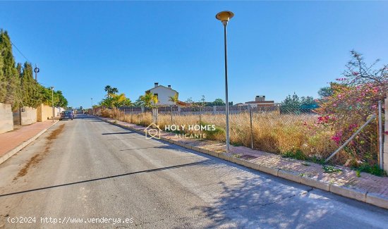 Solar para invertir en Mutxamel (Alicante)