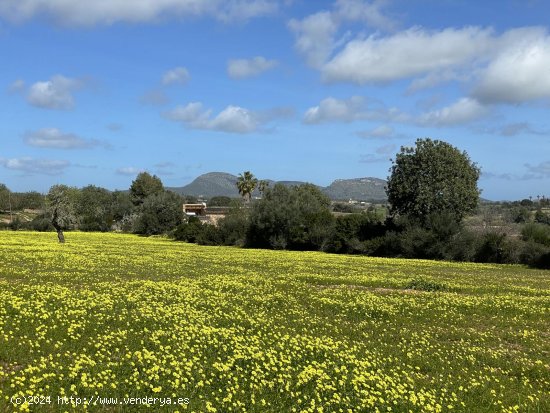 Solar en venta en Manacor (Baleares)