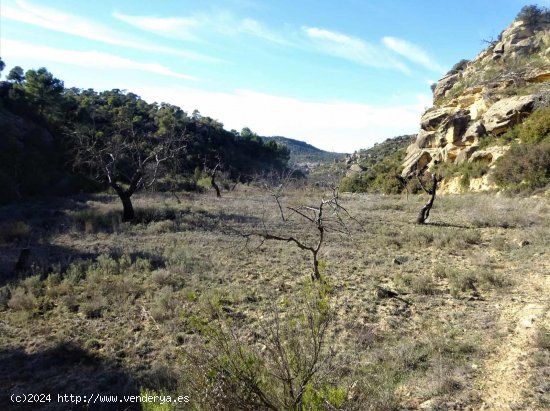 Finca en venta en Maella (Zaragoza)