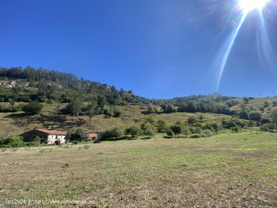  Casa en venta en Peñamellera Baja (Asturias) 