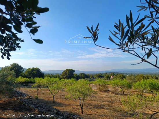 Finca en venta en L Ametlla de Mar (Tarragona)