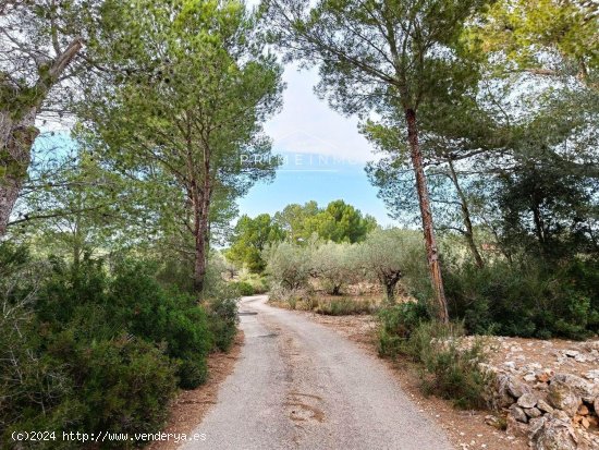 Finca en venta en L Ametlla de Mar (Tarragona)