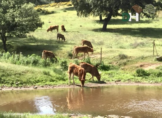 Solar en venta en Badajoz (Badajoz)