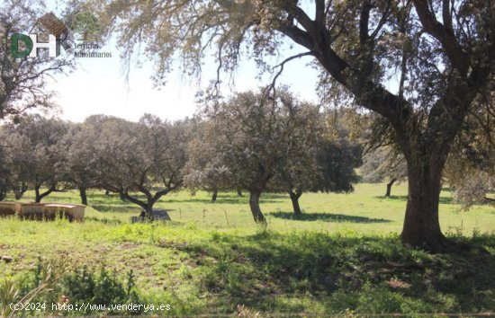 Solar en venta en Badajoz (Badajoz)