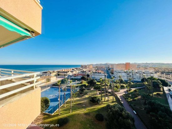  Piso en venta en Torrevieja (Alicante) 