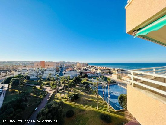 Piso en venta en Torrevieja (Alicante)