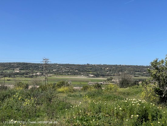 Solar en venta en Manacor (Baleares)