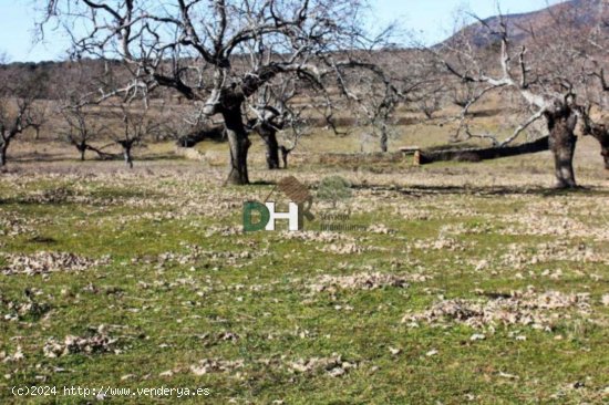 Solar en venta en Cáceres (Cáceres)