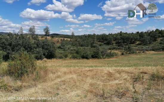 Solar en venta en Valverde del Fresno (Cáceres)