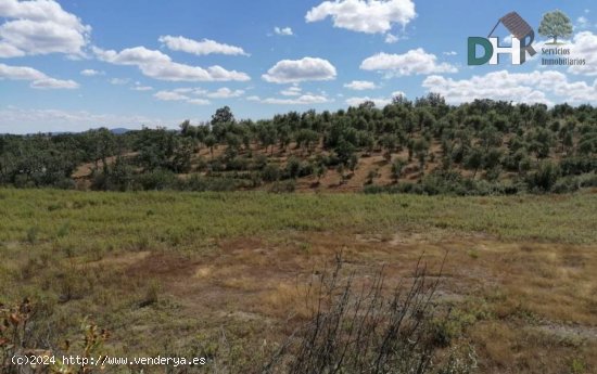 Solar en venta en Valverde del Fresno (Cáceres)