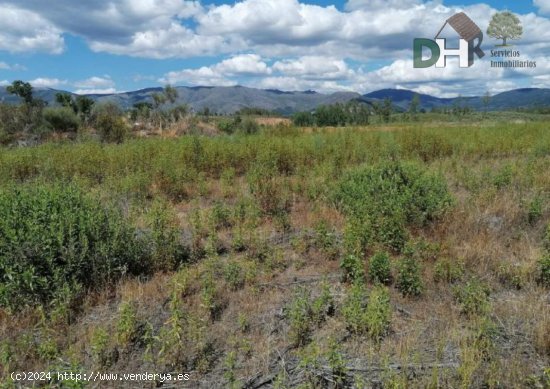 Solar en venta en Valverde del Fresno (Cáceres)