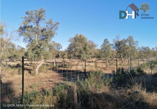 Solar en venta en Cáceres (Cáceres)