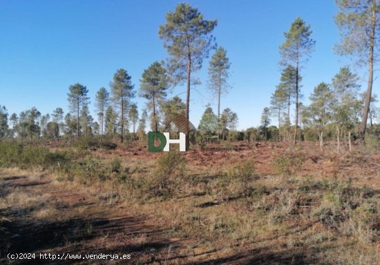 Solar en venta en Cáceres (Cáceres)