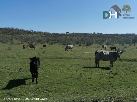  Solar en venta en Cáceres (Cáceres) 