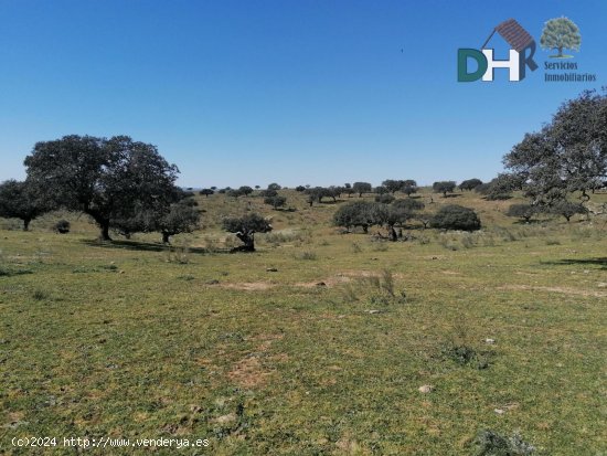 Solar en venta en Cáceres (Cáceres)