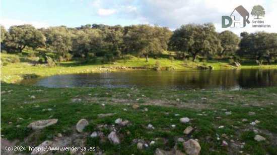 Solar en venta en Navalmoral de la Mata (Cáceres)