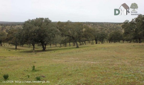 Solar en venta en Cáceres (Cáceres)