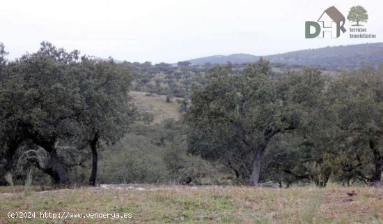 Solar en venta en Cáceres (Cáceres)