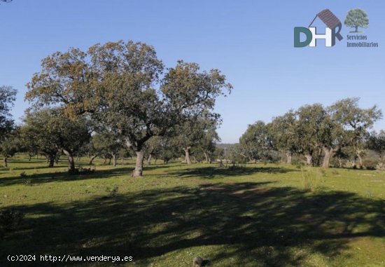 Solar en venta en Cáceres (Cáceres)