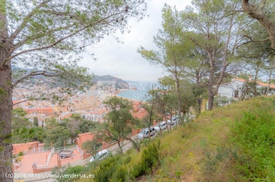 Parcela en venta en Tossa de Mar (Girona)