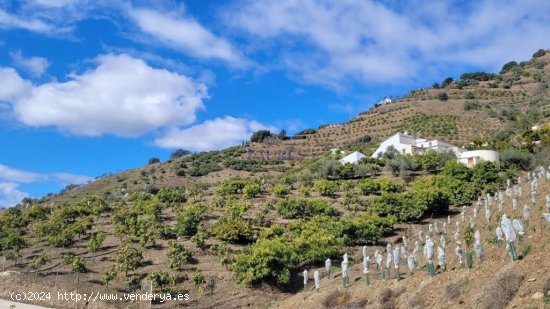  Villa en venta en Cómpeta (Málaga) 