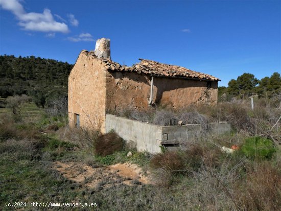 Finca en venta en Maella (Zaragoza)