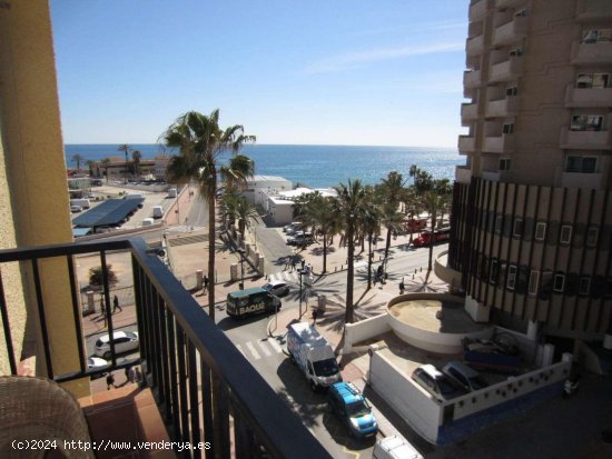  Apartamento en alquiler en Fuengirola (Málaga) 