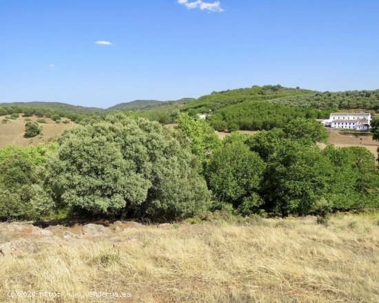 Hotel en venta en Constantina (Sevilla)