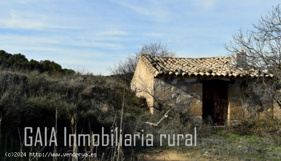 Finca en venta en Maella (Zaragoza)