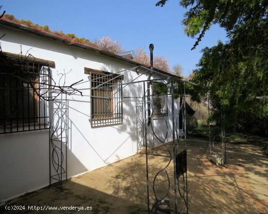  Casa en venta en Cádiar (Granada) 