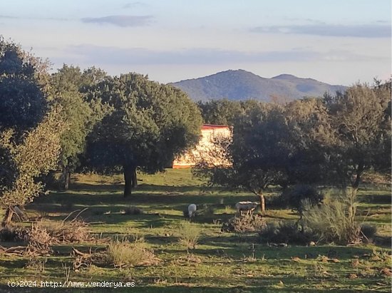  Finca en venta en Monesterio (Badajoz) 