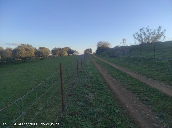 Finca en venta en Monesterio (Badajoz)