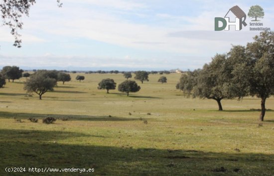 Solar en venta en Toledo (Toledo)