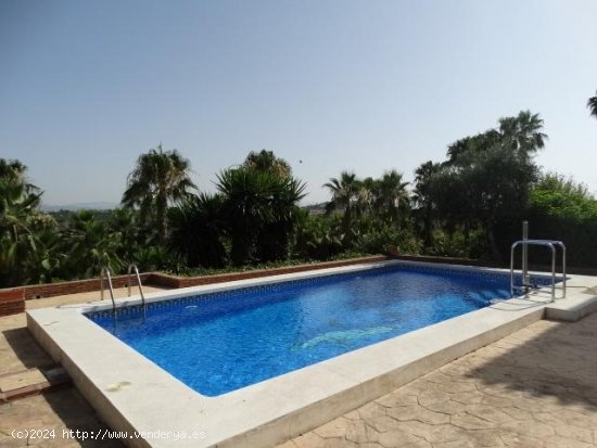 Estudio en alquiler en Alhaurín de la Torre (Málaga)