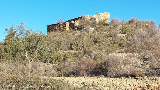  Finca en venta en Mazaleón (Teruel) 