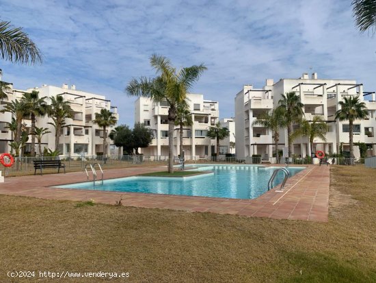 Apartamento en alquiler en Torre-Pacheco (Murcia)