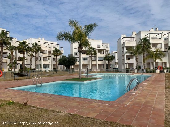 Apartamento en alquiler en Torre-Pacheco (Murcia)