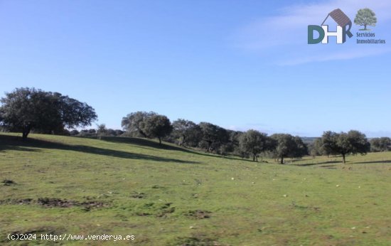 Solar en venta en Cáceres (Cáceres)