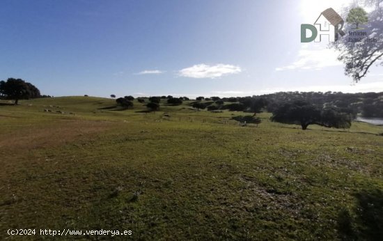 Solar en venta en Cáceres (Cáceres)