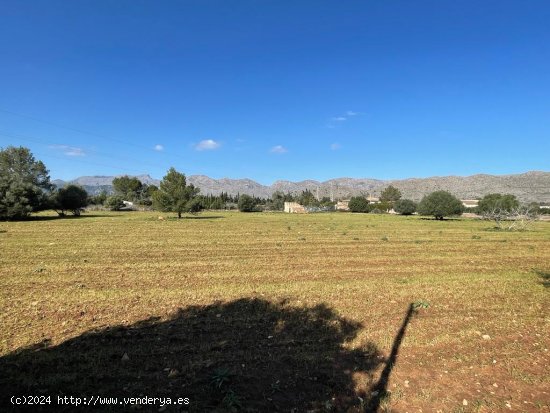 Solar en venta en Pollença (Baleares)