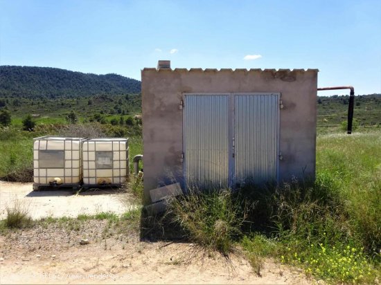 Finca en venta en Maella (Zaragoza)