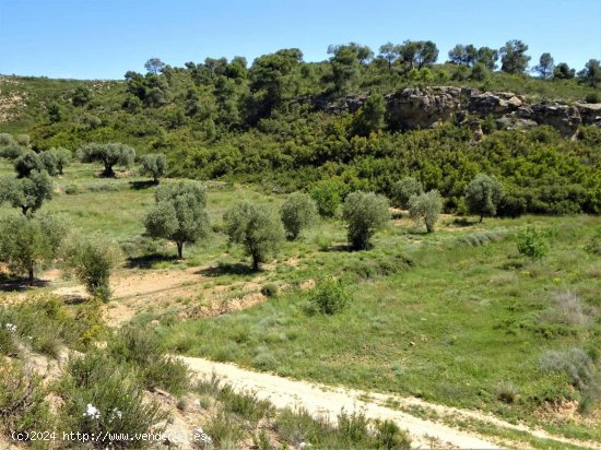 Finca en venta en Maella (Zaragoza)