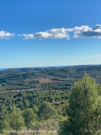 Solar en venta en Cuevas de Vinromá (Castellón)