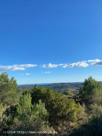 Solar en venta en Cuevas de Vinromá (Castellón)