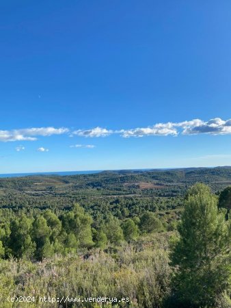 Solar en venta en Cuevas de Vinromá (Castellón)