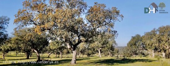  Solar en venta en Cáceres (Cáceres) 