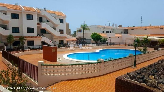 Apartamento en alquiler en Arona (Tenerife)