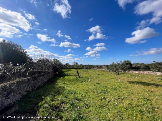 Finca en venta en Costitx (Baleares)