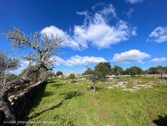 Finca en venta en Costitx (Baleares)