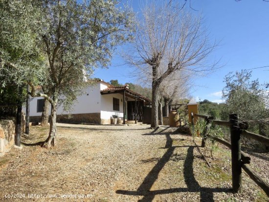  Casa en venta en Constantina (Sevilla) 